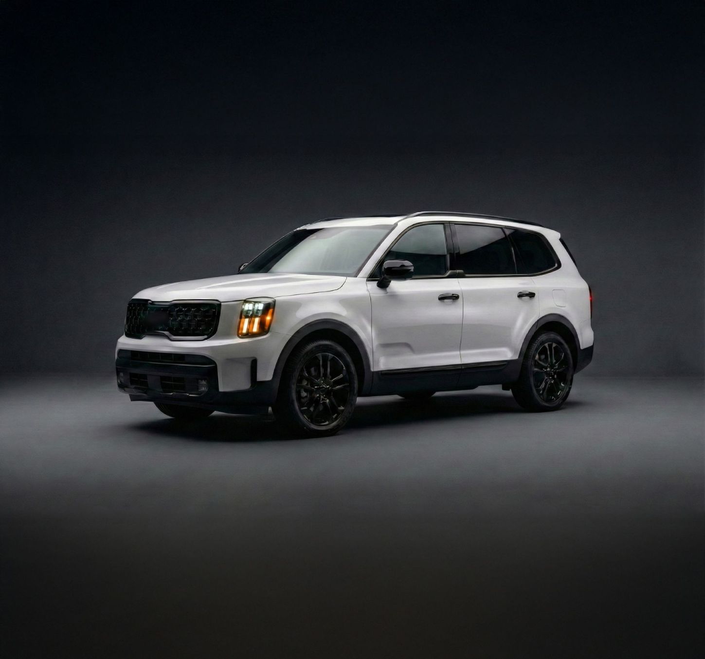 2022-2025 Kia Telluride DH6363BLK MC6390BLK (White)