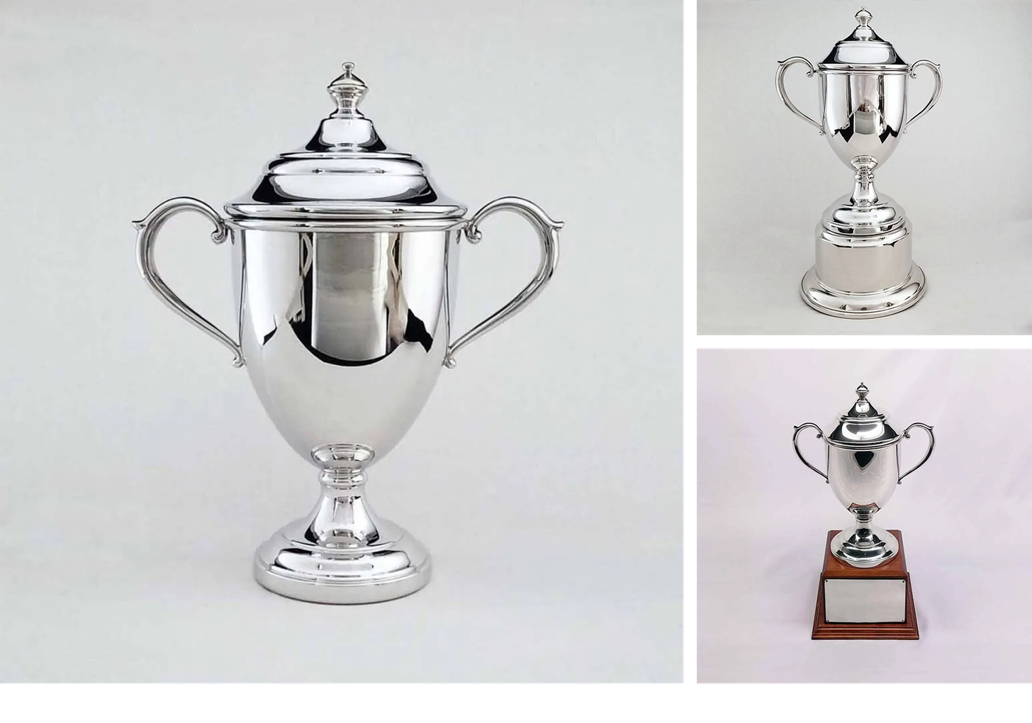 https://ib.steersman.works/MY4IsONV9l28-5-5lqBRuD18MfnVINmwMjmeYcFF/trophy-cup-bases-1456x1020.png